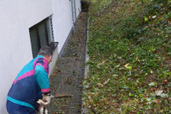 Arbeitseinsatz 01.10.2016
