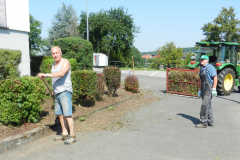 Heckenschnitt am 19.07.2017