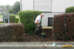 Arbeitseinsatz Unkraut vernichten, Lichtschächte reinigen am 10.08.2019