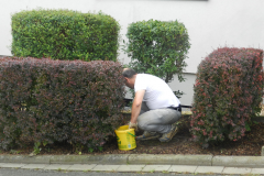 Arbeitseinsatz Unkraut entfernen am 10.08.2019